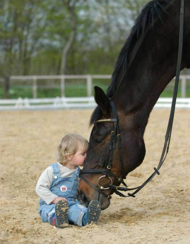 Reach Out to Horses- Children and Horses